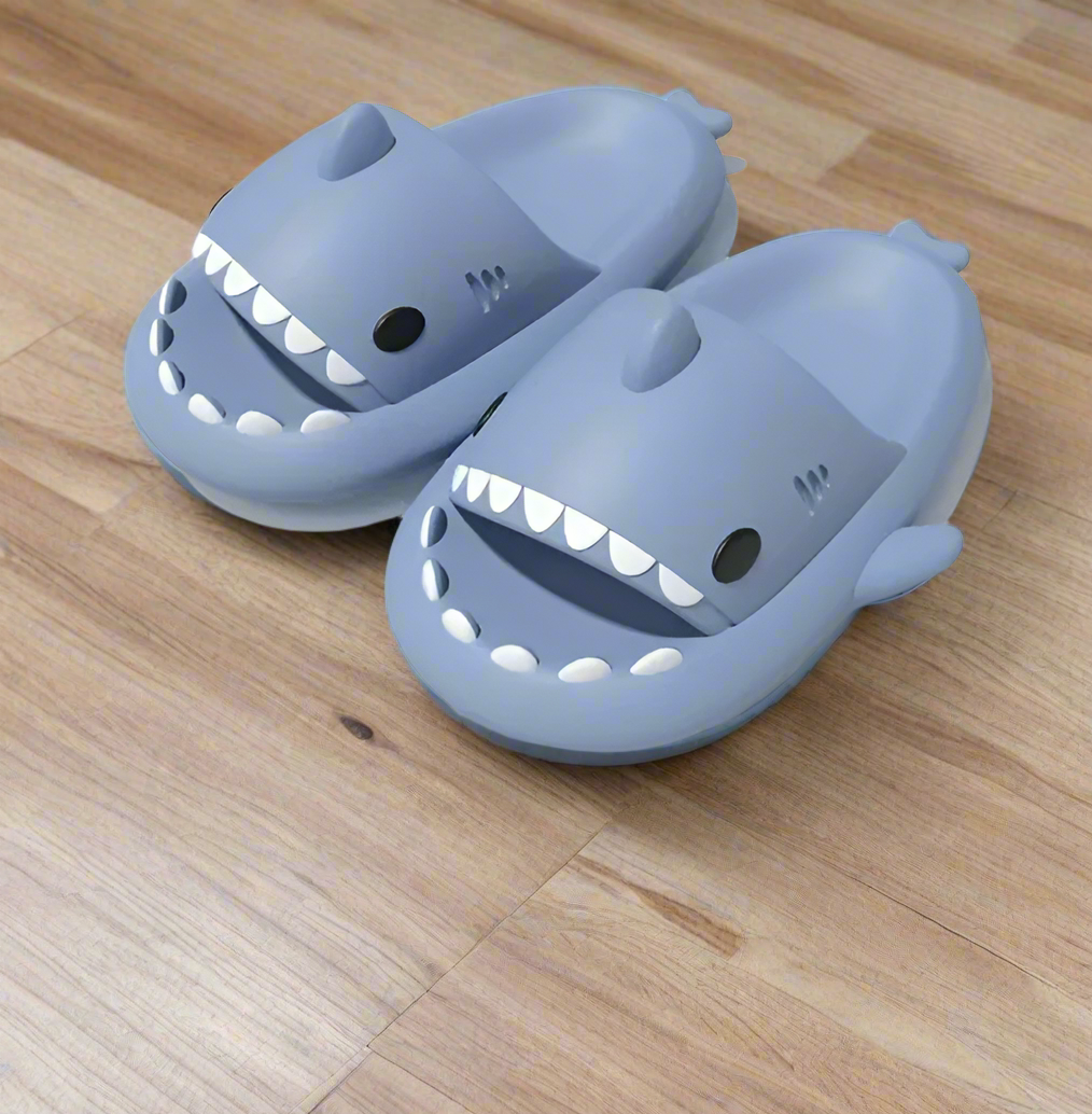 Shark Comfortable Slip Ons