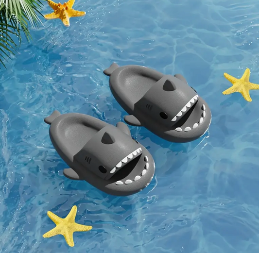 Shark Comfortable Slip Ons