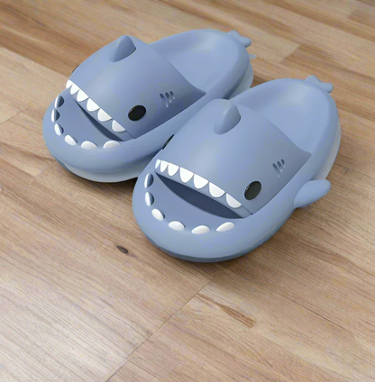 Shark Comfortable Slip Ons