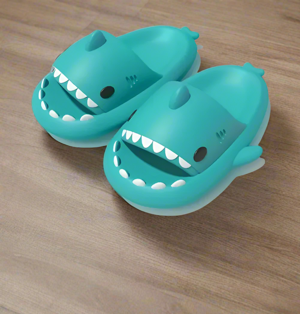Shark Comfortable Slip Ons