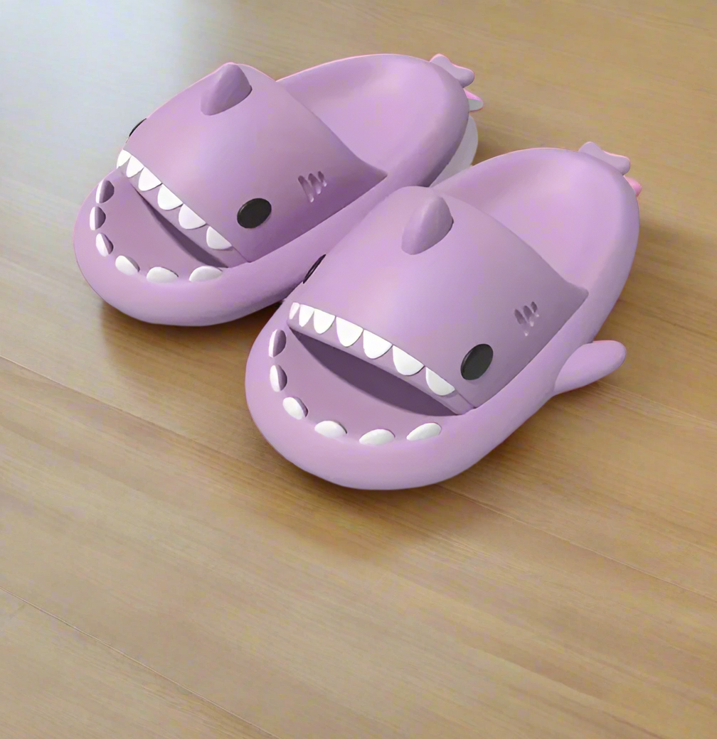 Shark Comfortable Slip Ons